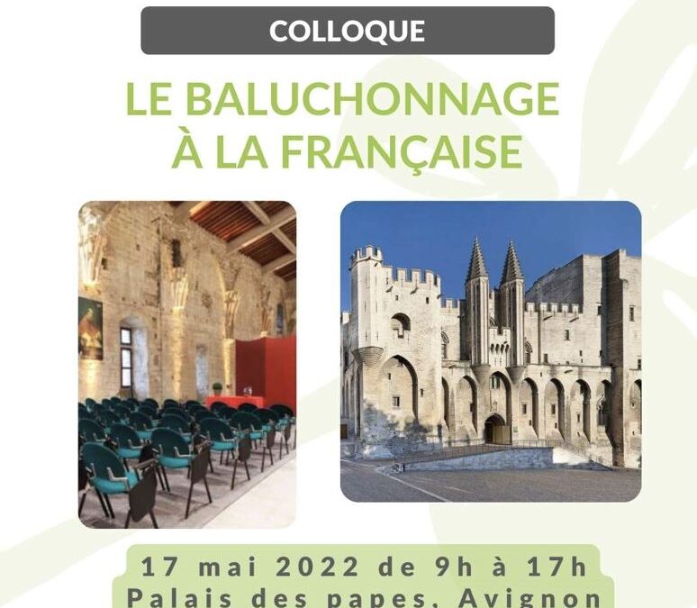 Colloque Baluchon France à Avignon – 17 mai 2022